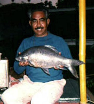 839_Maharashtra State Angling Association_Calbasu_Labeo calbasu.jpg